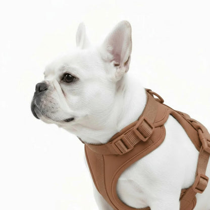 Adjustable Dog Harness with Mesh Padding and Lightweight Nylon Build
