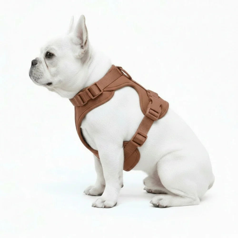 Adjustable Dog Harness with Mesh Padding and Lightweight Nylon Build