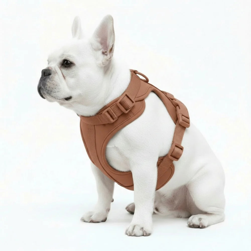 Adjustable Dog Harness with Mesh Padding and Lightweight Nylon Build