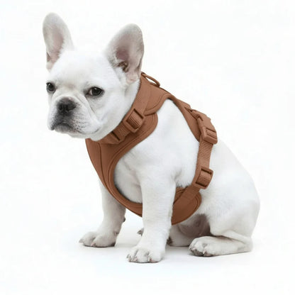 Adjustable Dog Harness with Mesh Padding and Lightweight Nylon Build