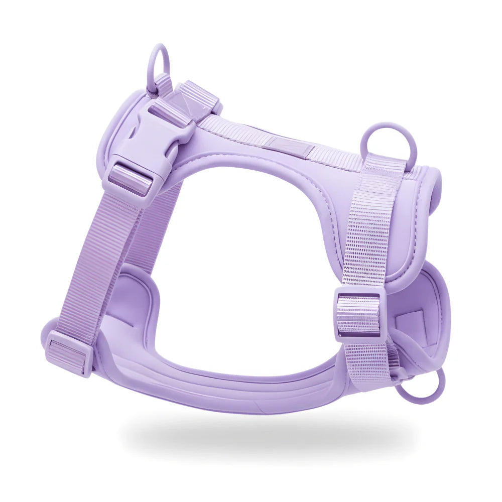 Adjustable Dog Harness with Mesh Padding and Lightweight Nylon Build