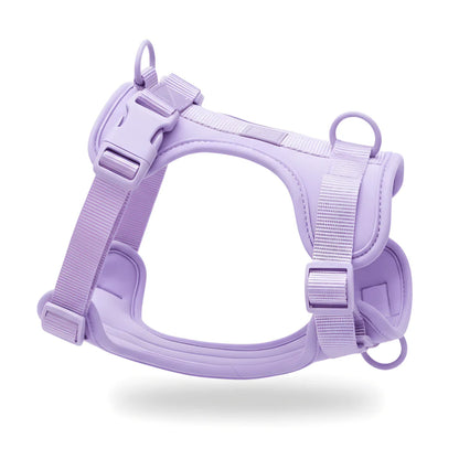 Adjustable Dog Harness with Mesh Padding and Lightweight Nylon Build