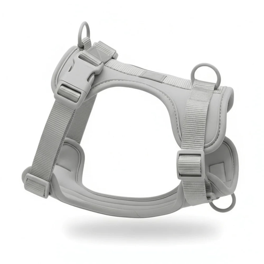 Adjustable Dog Harness with Mesh Padding and Lightweight Nylon Build