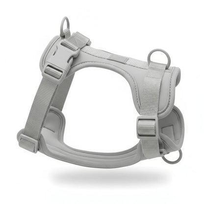 Adjustable Dog Harness with Mesh Padding and Lightweight Nylon Build