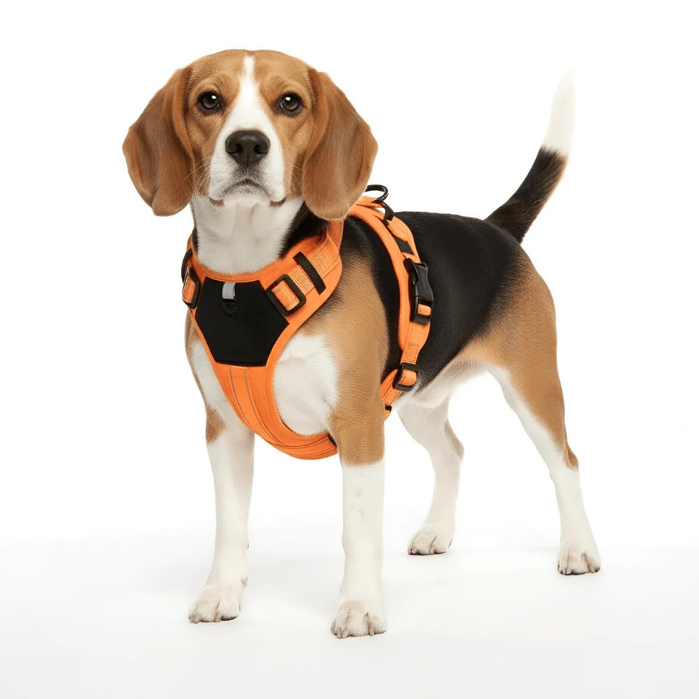 Adjustable Dog Harness with Reflective Strips and Nylon Build