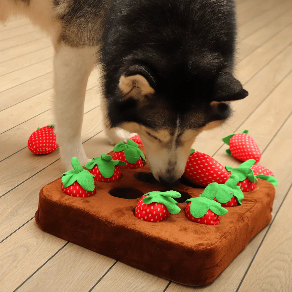 Dog Snuffle Mat Interactive Treat Toy with Plush Hide and Seek Design