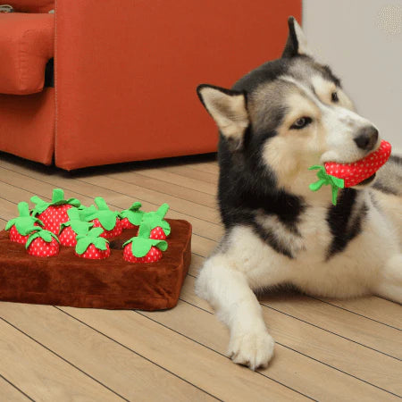 Dog Snuffle Mat Interactive Treat Toy with Plush Hide and Seek Design