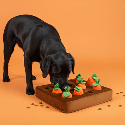 Dog Snuffle Mat Treat Puzzle with Non Slip Base and Washable Cover