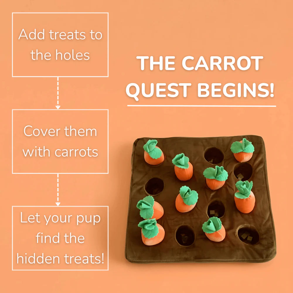 Dog Snuffle Mat Treat Puzzle with Non Slip Base and Washable Cover