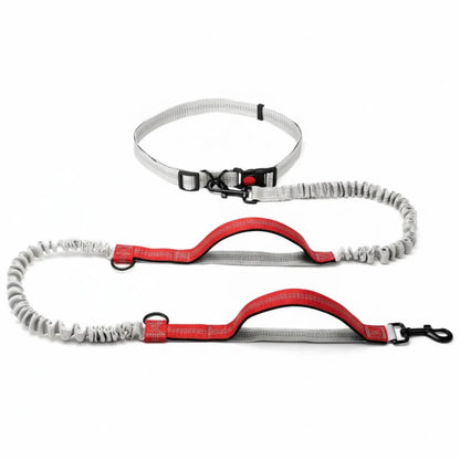 Dog Walking Lead with Adjustable Waist Strap and Reflective Details