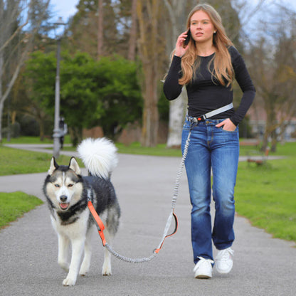 Dog Walking Lead with Adjustable Waist Strap and Reflective Details