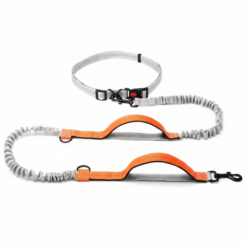 Dog Walking Lead with Adjustable Waist Strap and Reflective Details