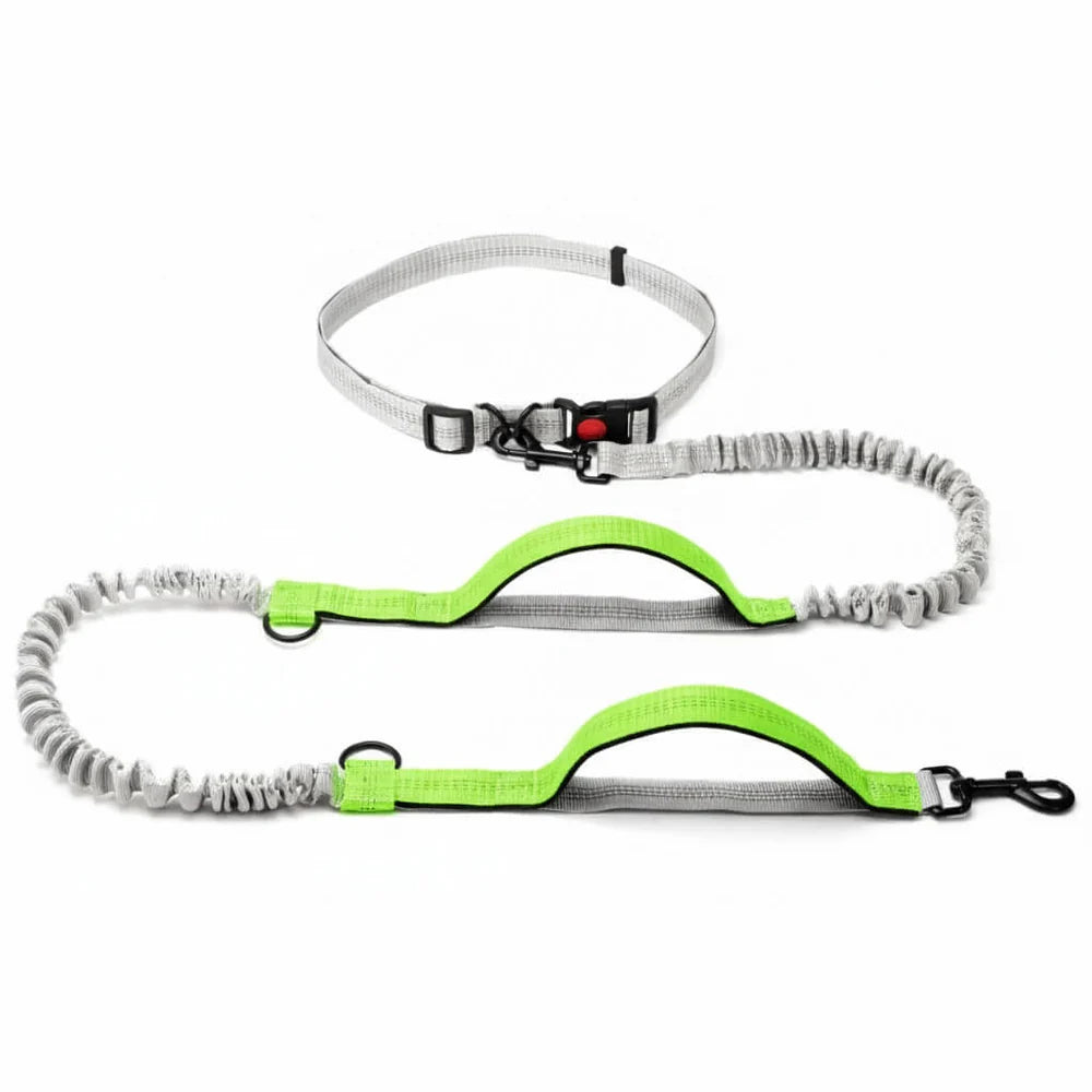 Dog Walking Lead with Adjustable Waist Strap and Reflective Details