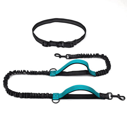 Dog Walking Lead with Adjustable Waist Strap and Reflective Details