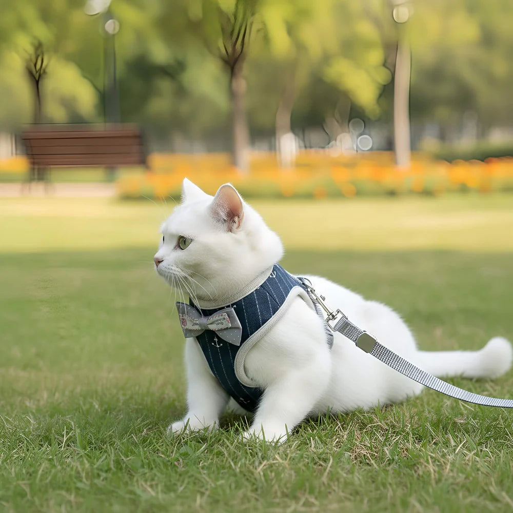 Cat Harness and Leash Set Soft Mesh Adjustable