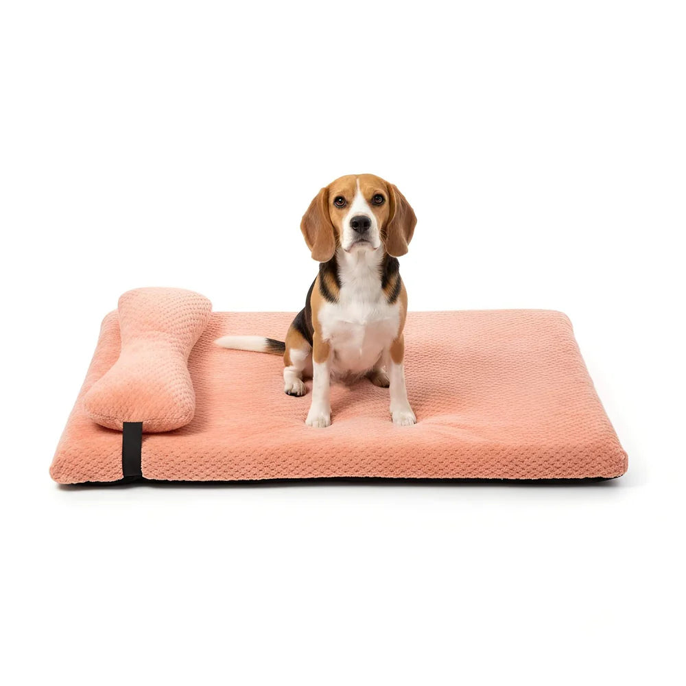 Supportive Dog Bed with Pillow and Washable Fleece Cover Design