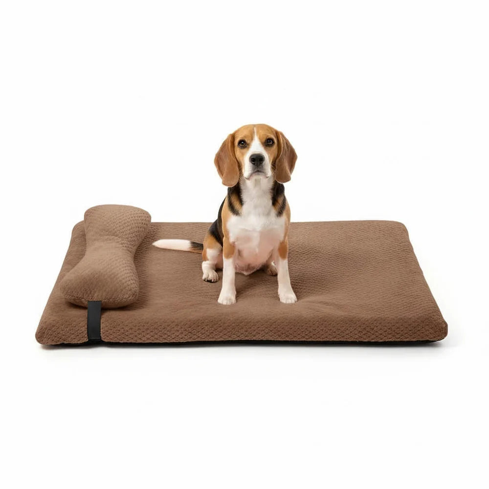 Supportive Dog Bed with Pillow and Washable Fleece Cover Design