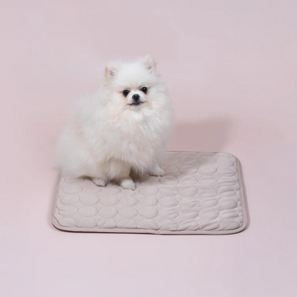 Dog Cooling Mat with Breathable Ice Silk and Washable Surface