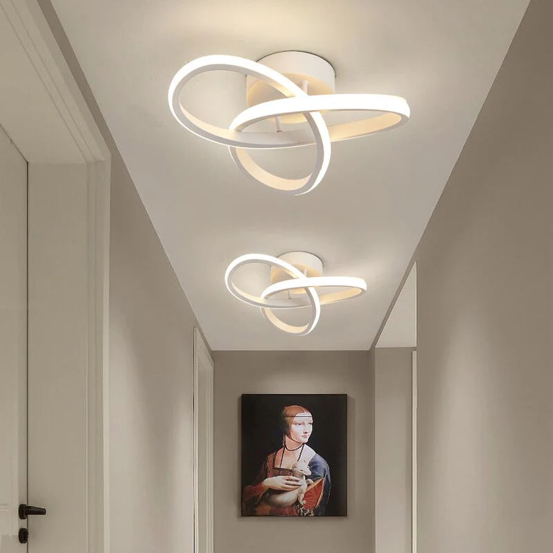 Adjustable LED Ceiling Light, Modern Metal Lighting Fixture
