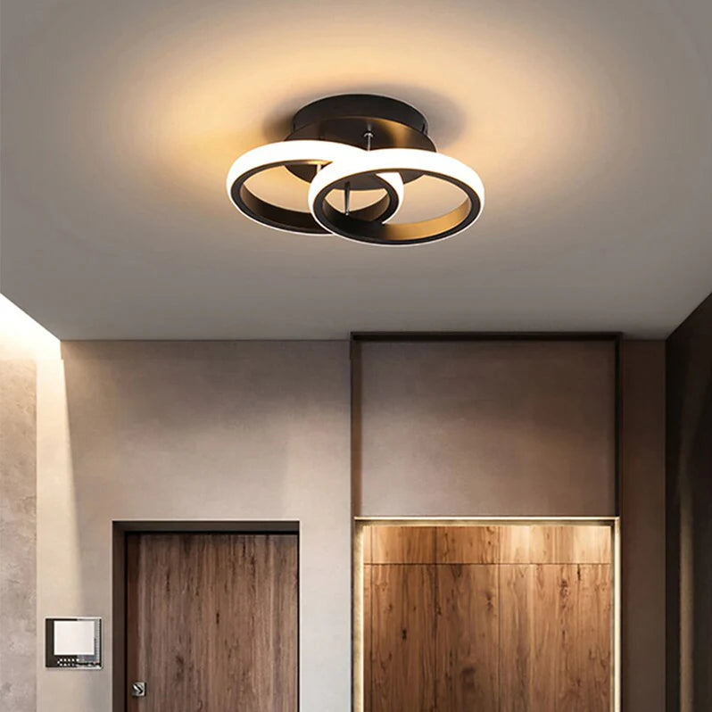 Adjustable LED Ceiling Light, Modern Metal Lighting Fixture
