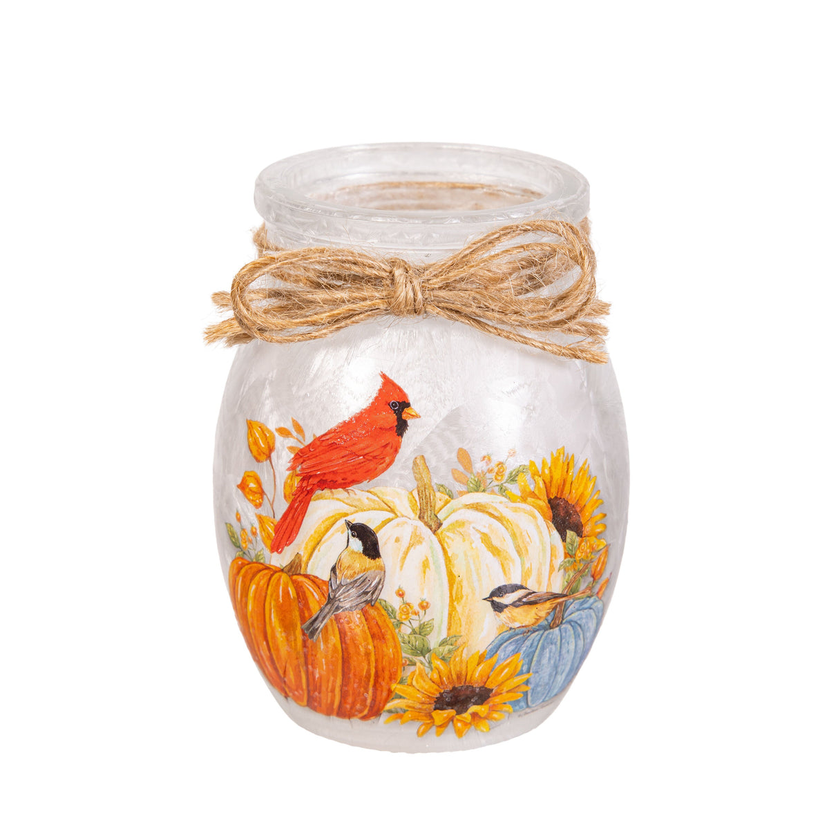 Harvest Glass Jar with Multicolor LED Lights and Battery Operation