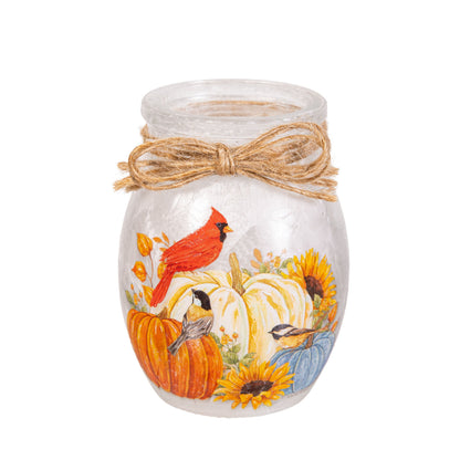 Harvest Glass Jar with Multicolor LED Lights and Battery Operation