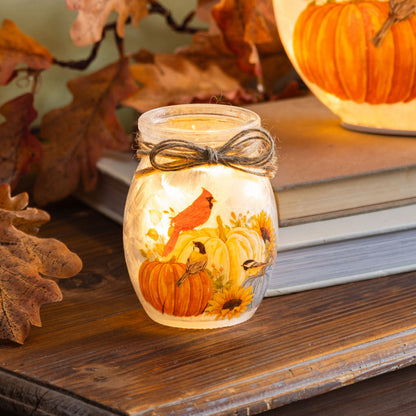 Harvest Glass Jar with Multicolor LED Lights and Battery Operation