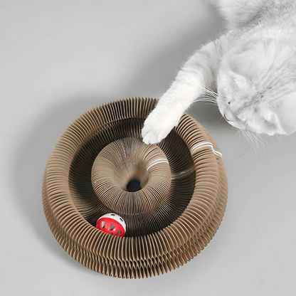 Foldable Cardboard Cat Maze with Magnetic Folding and Bell Ball Toy
