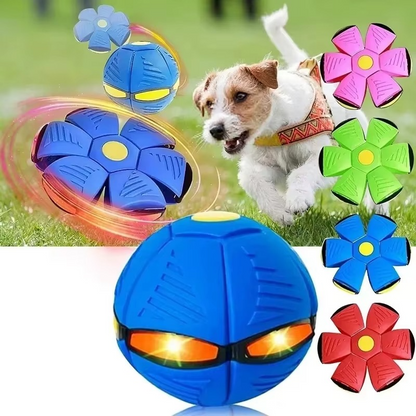 Dual Shape Flying Disc and Bouncing Ball for Kids and Pets