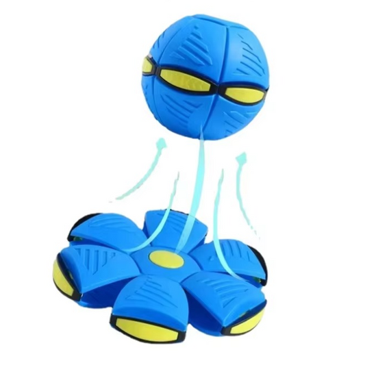 Dual Shape Flying Disc and Bouncing Ball for Kids and Pets