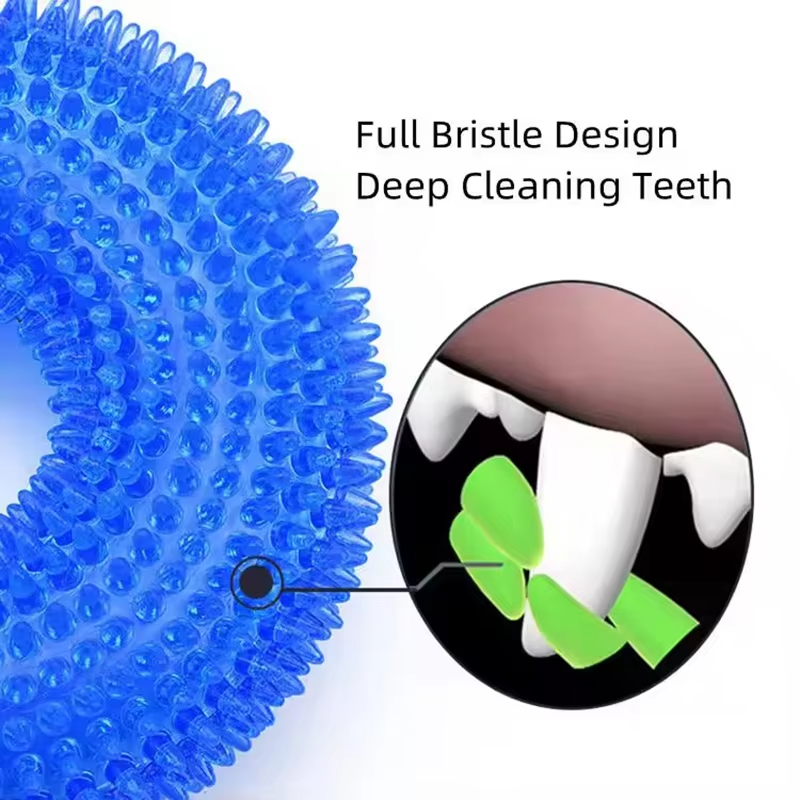 Squeaky Dog Chew Ring with Textured Thorn Surface and Built In Squeaker