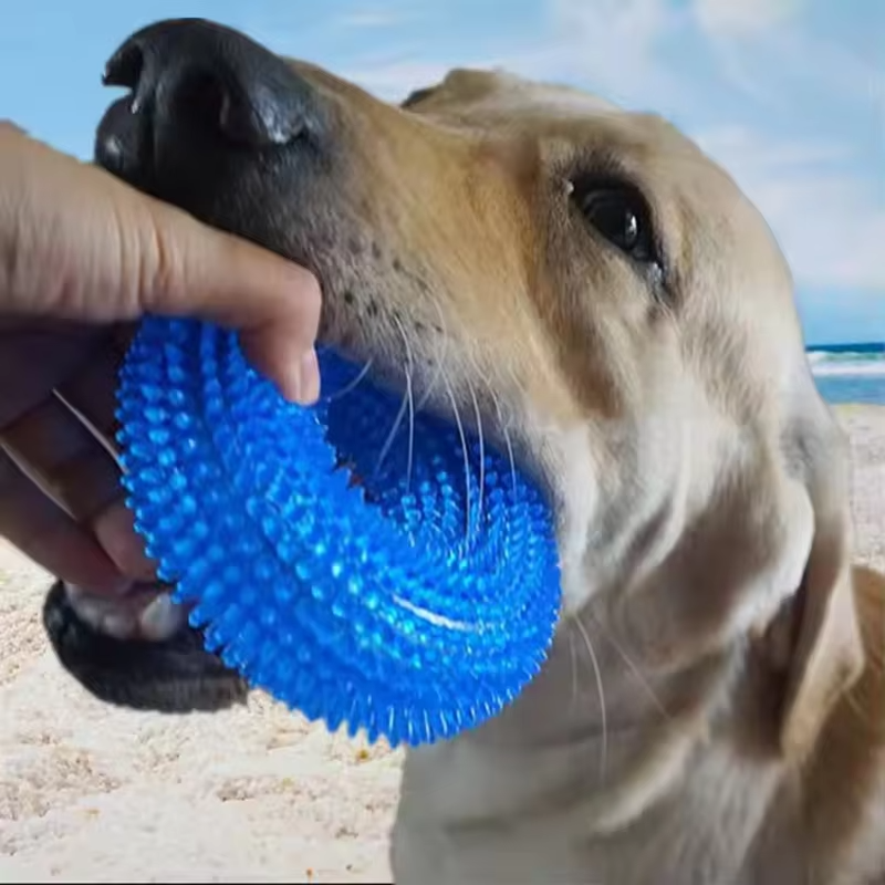 Squeaky Dog Chew Ring with Textured Thorn Surface and Built In Squeaker