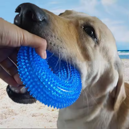 Squeaky Dog Chew Ring with Textured Thorn Surface and Built In Squeaker