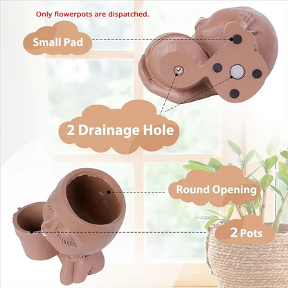 Dual Face Sculptural Planter with Drainage System and Indoor-Outdoor Versatility