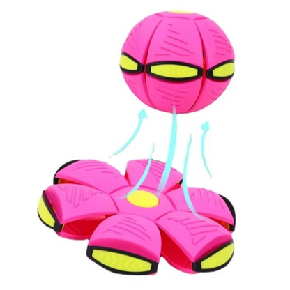 Dual Shape Flying Disc and Bouncing Ball for Kids and Pets