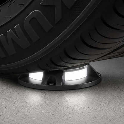 Outdoor Solar Pathway Light with Automatic Dusk Sensor and 80 Hour Runtime