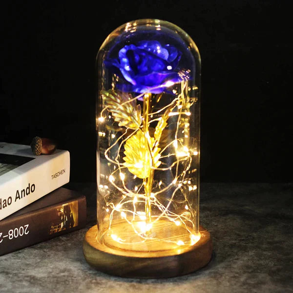 Preserved Real Rose with LED Dome Display and Battery Base