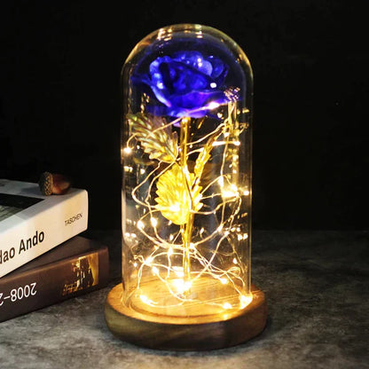 Preserved Real Rose with LED Dome Display and Battery Base