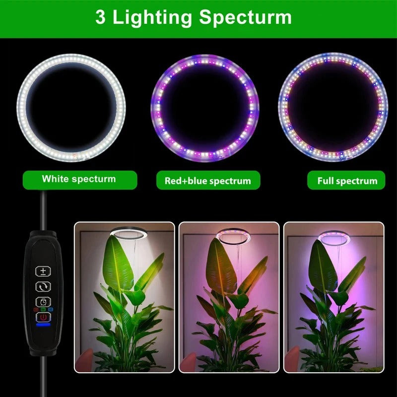 LED Ring Grow Light with Adjustable Stand and Timer for Indoor Plants