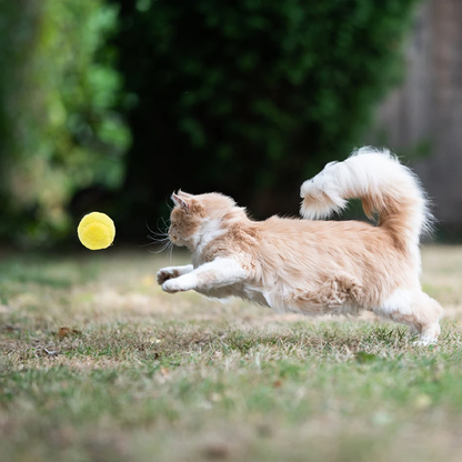 Interactive Dog Toy Ball with Motion Sensors and Washable Cover