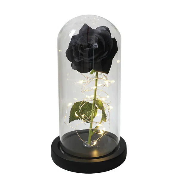 Preserved Real Rose with LED Dome Display and Battery Base