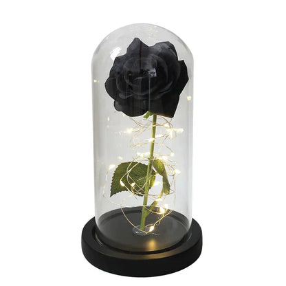 Preserved Real Rose with LED Dome Display and Battery Base