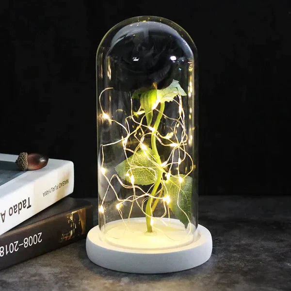 Preserved Real Rose with LED Dome Display and Battery Base