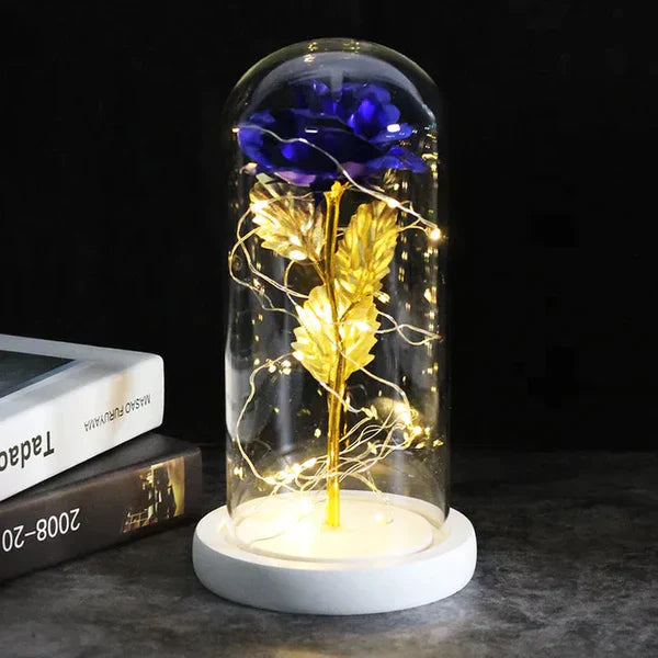 Preserved Real Rose with LED Dome Display and Battery Base