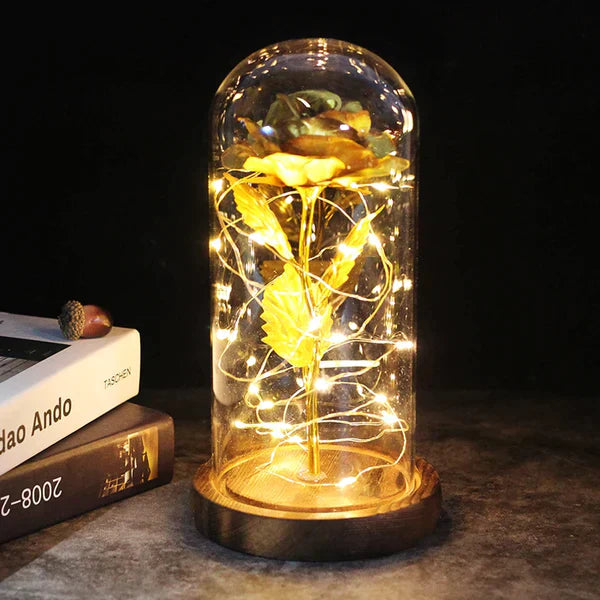 Preserved Real Rose with LED Dome Display and Battery Base