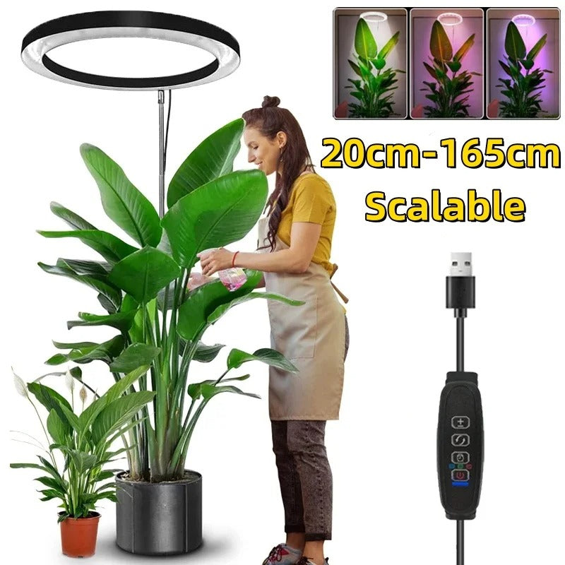 LED Ring Grow Light with Adjustable Stand and Timer for Indoor Plants