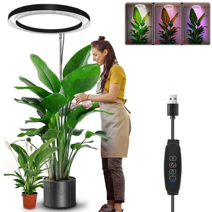 Full Spectrum LED Ring Light with Telescoping Stand and Automated Timer for Indoor Plants