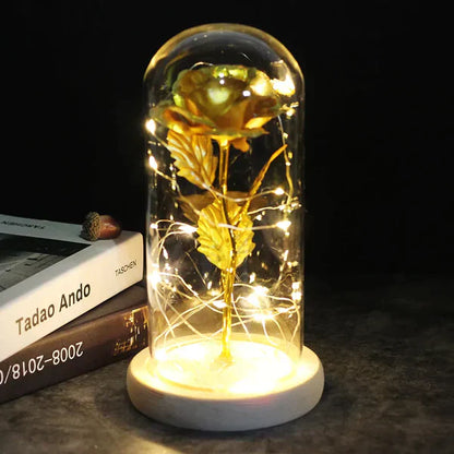 Preserved Real Rose with LED Dome Display and Battery Base