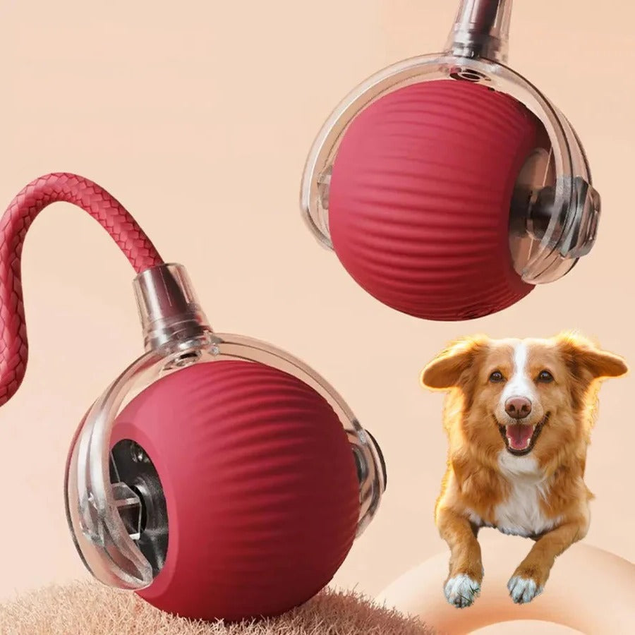 Battery Powered Rolling Ball Toy for Dogs with a Removable Tail in Six Colors for Indoor Play