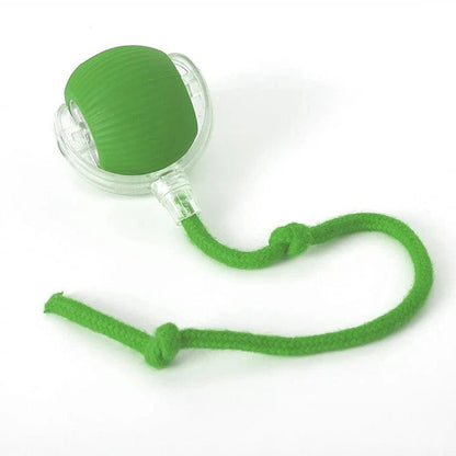Battery Powered Rolling Ball Toy for Dogs with a Removable Tail in Six Colors for Indoor Play